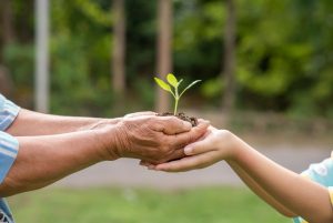 Educação Ambiental